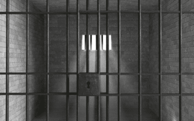 Leaving the Cage of “Recovery” – Why is it Difficult Sometimes